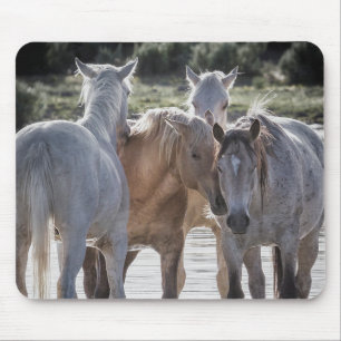 Family Time Mousepad