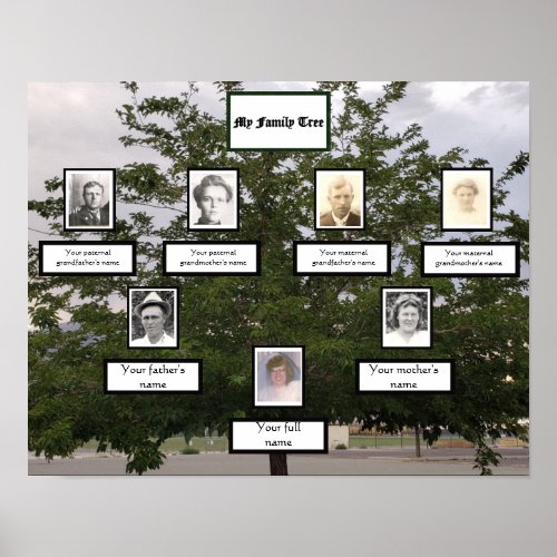Family Tree 3 Generation Photo Names Summertime Poster