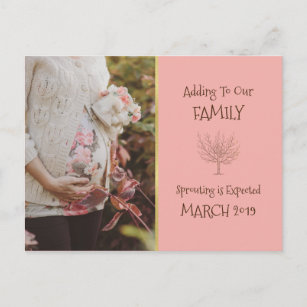 Family Tree Addition   Pregnancy Announcement Postcard