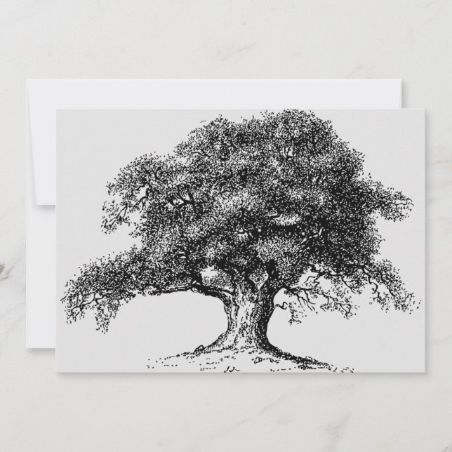 Family Tree Ancestry Reunion Party Gray Announcement (Front)