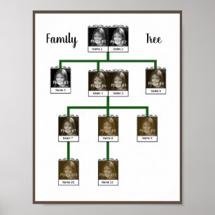 family tree poster board