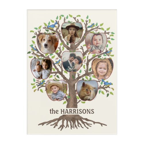 Family Tree Photo Collage 8 Pictures Name Lt Beige Acrylic Print