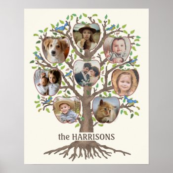 Family Tree Photo Collage 8 Pictures Name Lt Beige Poster by PictureCollage at Zazzle
