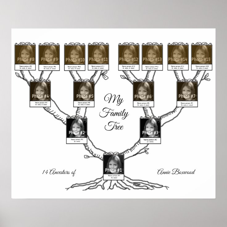 Family Tree with 15 Persons Custom Photo and Text Poster | Zazzle