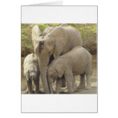 Family unit.jpg (Front)