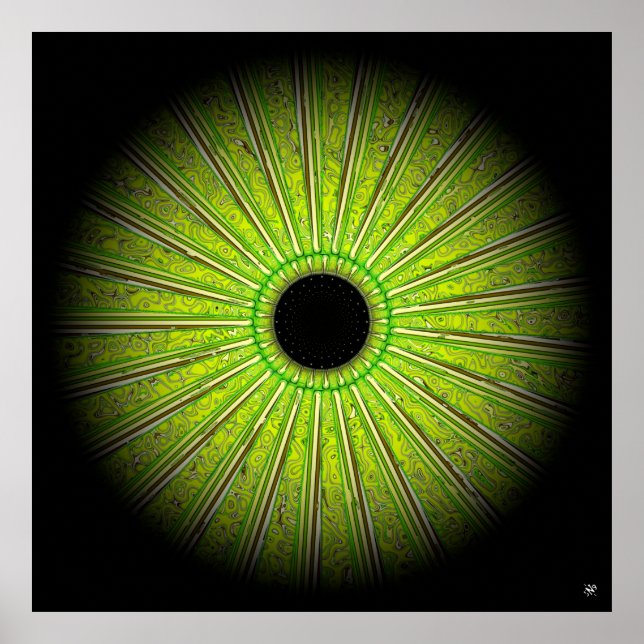 Famished plant poster (Front)