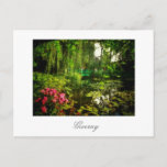 Famous Claude Monet Giverny Pond Lilies Postcard<br><div class="desc">Famous Claude Monet Giverny,  France Pond with Lilies Canvas Stylized Photo Postcard to add to your travel memorabilia collection. A cool gift / present idea for all who love custom design personalized items,  positive vibes,  architecture,  traveling,  all things French,  magic landscapes,  nature,  flowers,  romance,  art,  paintings etc.</div>