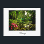 Famous Claude Monet Giverny Pond Lilies Postcard<br><div class="desc">Famous Claude Monet Giverny,  France Pond with Lilies Canvas Stylized Photo Postcard to add to your travel memorabilia collection. A cool gift / present idea for all who love custom design personalized items,  positive vibes,  architecture,  traveling,  all things French,  magic landscapes,  nature,  flowers,  romance,  art,  paintings etc.</div>