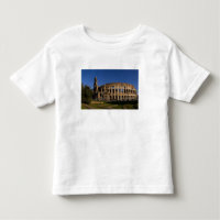 Famous Colosseum in Rome Italy Landmark 2