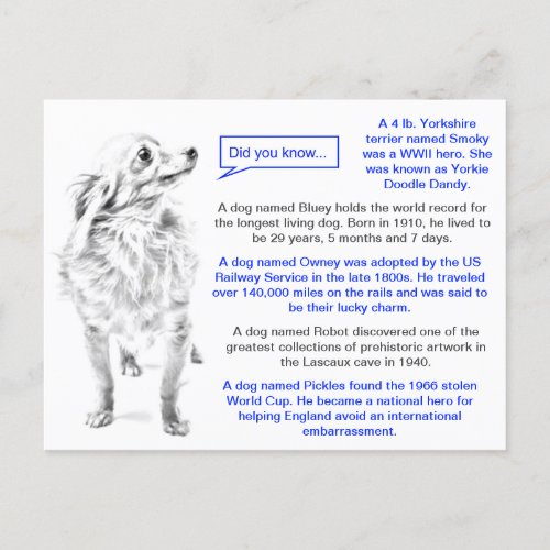 Famous Dogs Fun Facts Postcard