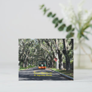 Famous Magnolia Ave St. Augustine, Florida Holiday Postcard