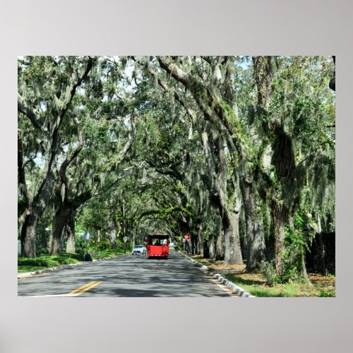 Famous Magnolia Ave St Augustine Florida Poster