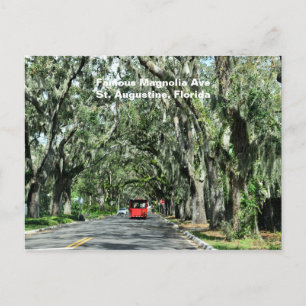 Famous Magnolia Avenue Postcard