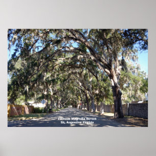 Famous Magnolia Street St, Augustine ... Poster
