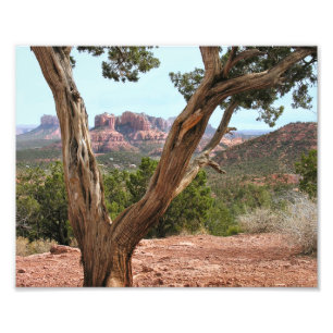 Famous Sedona Photo Print