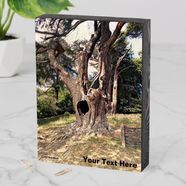 Famous Wizard Movie Tree Wooden Box Sign (In Situ Vertical)