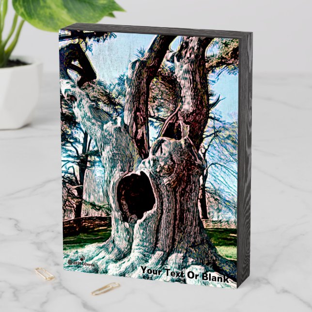 Famous Wizard Movie Tree Wooden Box Sign (In Situ Vertical)