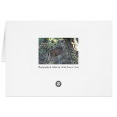 Famous Words: Courage - Deer Greeting Card (Back Horizontal)