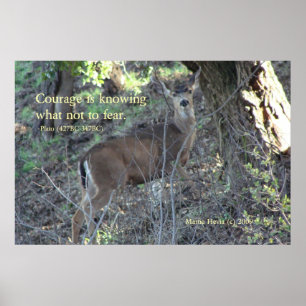Famous Words: Courage - Deer - Poster
