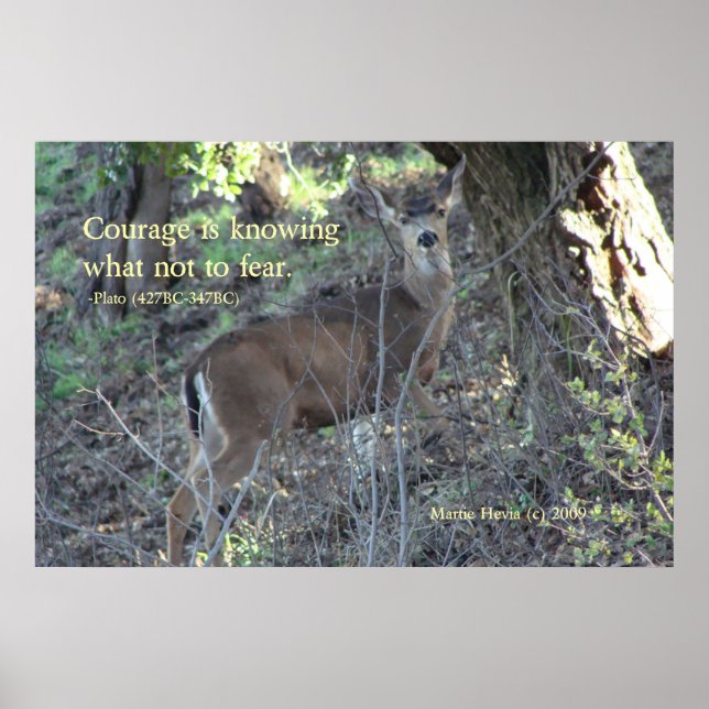 Famous Words: Courage - Deer - Poster (Front)