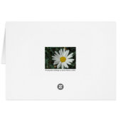 Famous Words: Peace - White Daisy Card Series (7) (Back Horizontal)