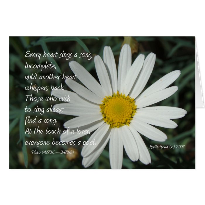 Famous Words Song   White Daisy Card Series (6)