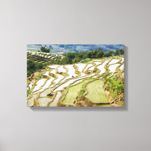 Famous yuanyang Rice Terraces - Yunnan, China Canvas Print