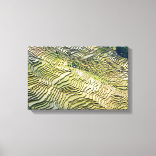 Famous yuanyang Rice Terraces - Yunnan, China Canvas Print