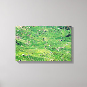Famous yuanyang Rice Terraces - Yunnan, China Canvas Print
