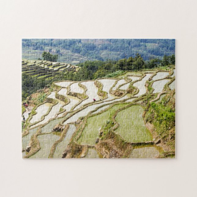 Famous yuanyang Rice Terraces - Yunnan, China Jigsaw Puzzle (Horizontal)