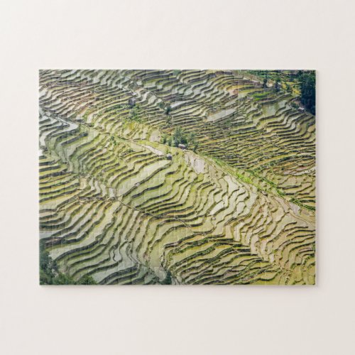 Famous yuanyang Rice Terraces _ Yunnan China Jigsaw Puzzle