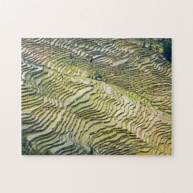 Famous yuanyang Rice Terraces - Yunnan, China Jigsaw Puzzle (Horizontal)