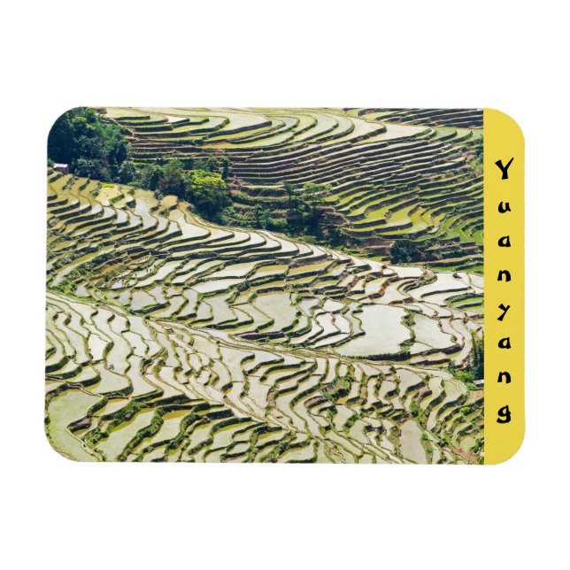 Famous yuanyang Rice Terraces - Yunnan, China Magnet (Horizontal)