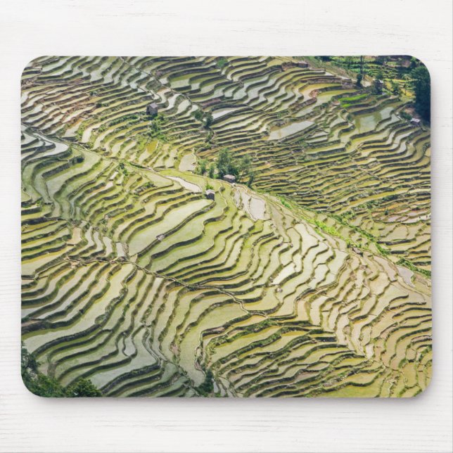 Famous yuanyang Rice Terraces - Yunnan, China Mouse Pad (Front)
