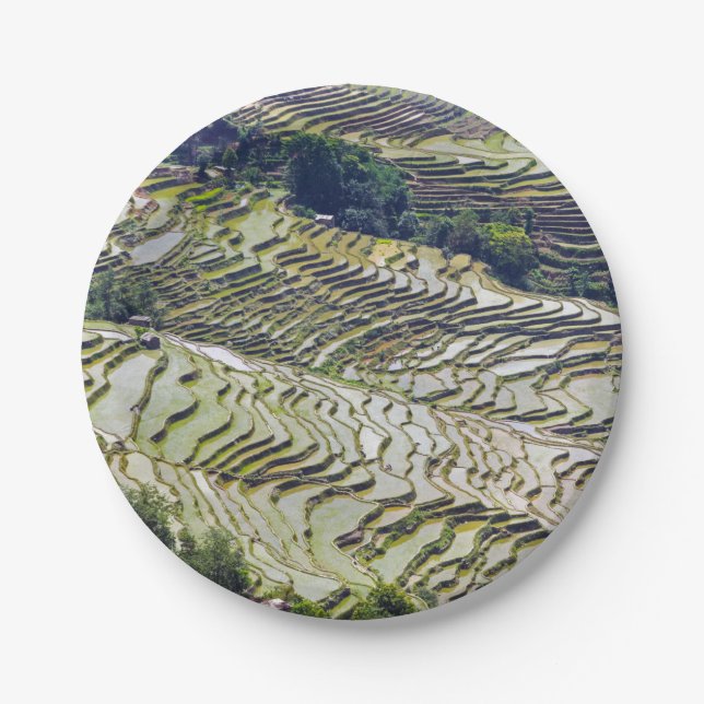 Famous yuanyang Rice Terraces - Yunnan, China Paper Plates (Front)