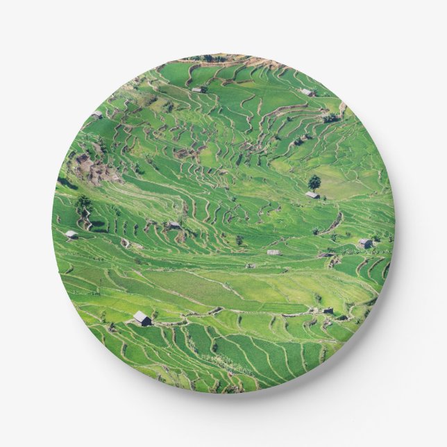 Famous yuanyang Rice Terraces - Yunnan, China Paper Plates (Front)