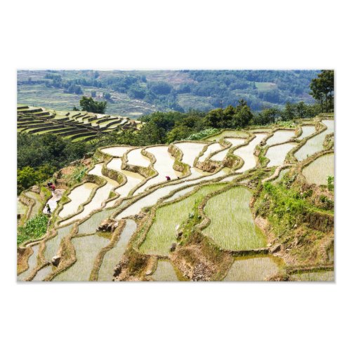 Famous yuanyang Rice Terraces _ Yunnan China Photo Print