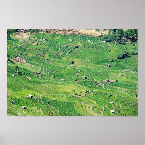 Famous yuanyang Rice Terraces _ Yunnan China Poster