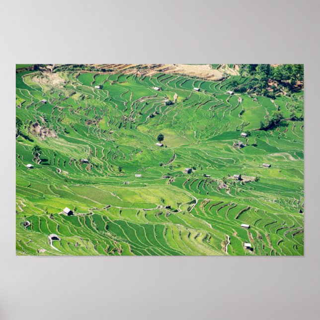 Famous yuanyang Rice Terraces - Yunnan, China Poster (Front)