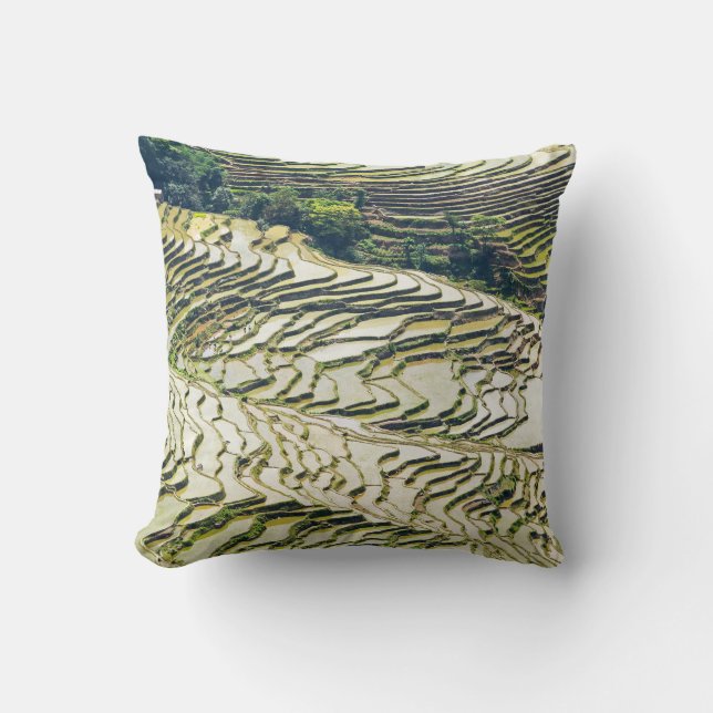 Famous yuanyang Rice Terraces - Yunnan, China Throw Pillow (Front)