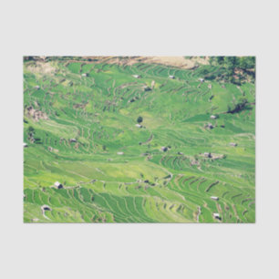 Famous yuanyang Rice Terraces - Yunnan, China Tissue Paper