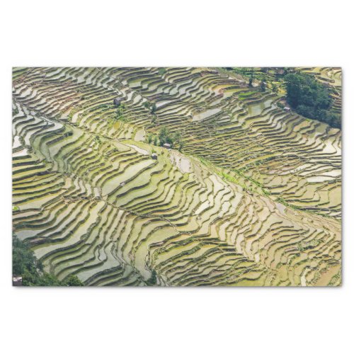 Famous yuanyang Rice Terraces _ Yunnan China Tissue Paper