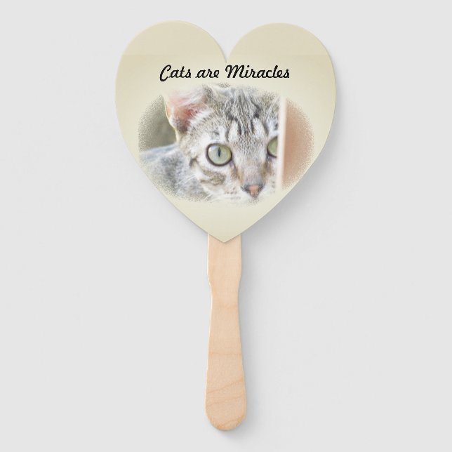 Fan - Miracle of Cats (Front)