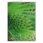 Fan Palm (Front)