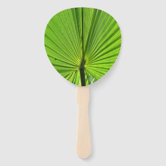 Fan - Palm Frond