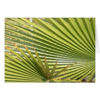 Fan palms cards