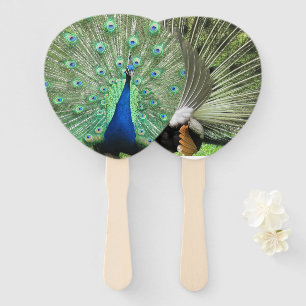 Fan - Peacock