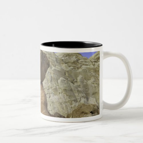 Fanciful toadstool shape of eroded red and white Two_Tone coffee mug