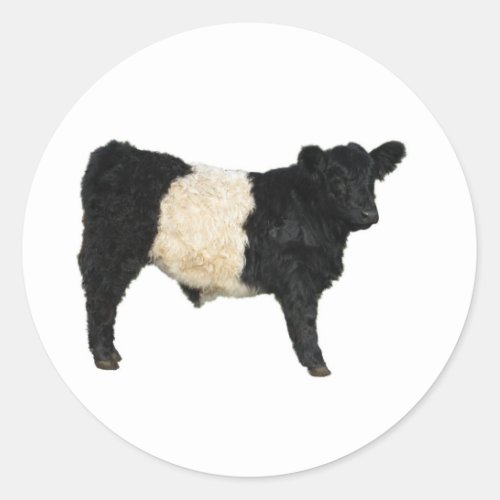 Fancy an Oreo Belted Galloway Cow Classic Round Sticker