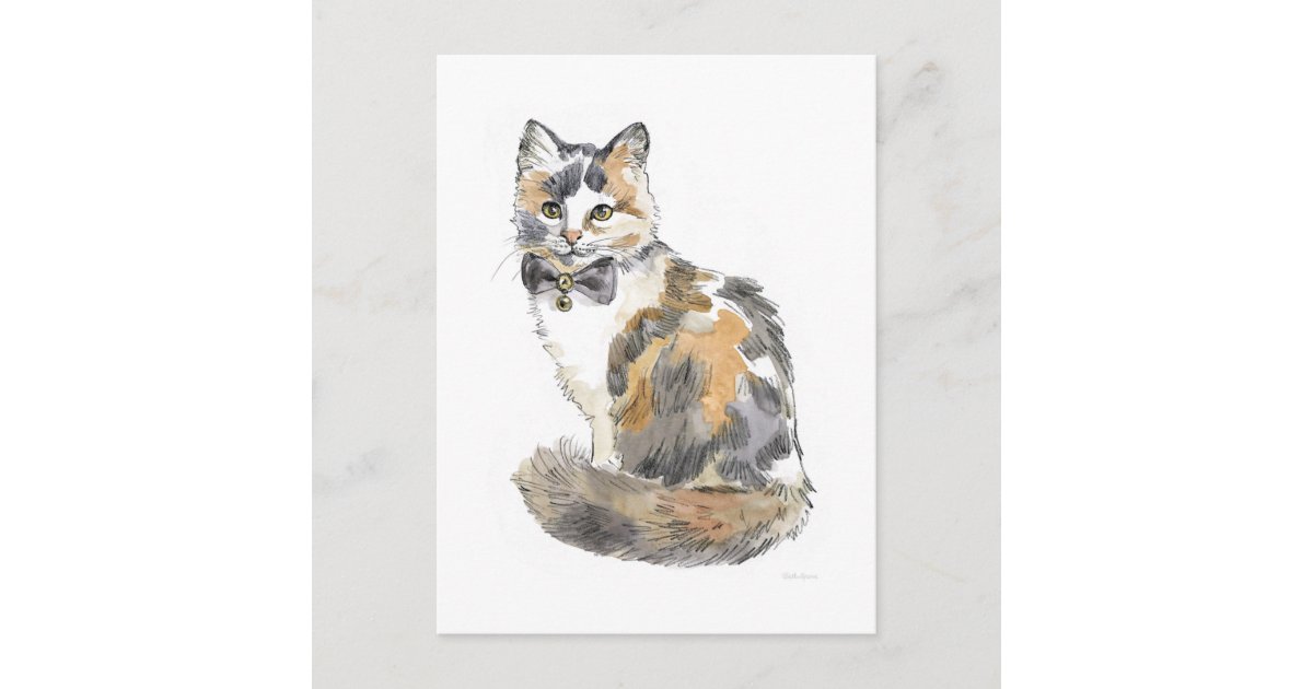 Fancy Calico Cat Postcard | Zazzle